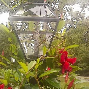 Meet your Posher, Dee